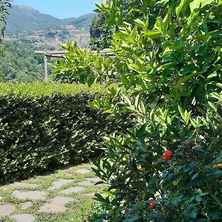 Orrido Di Pino Séjour à la ferme