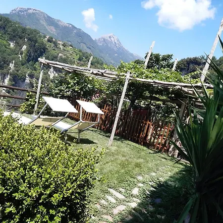 Orrido Di Pino *