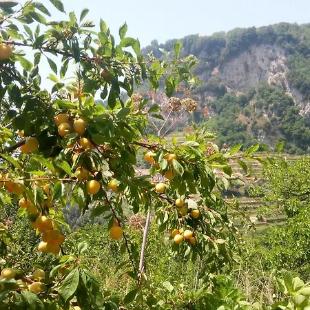Orrido Di Pino