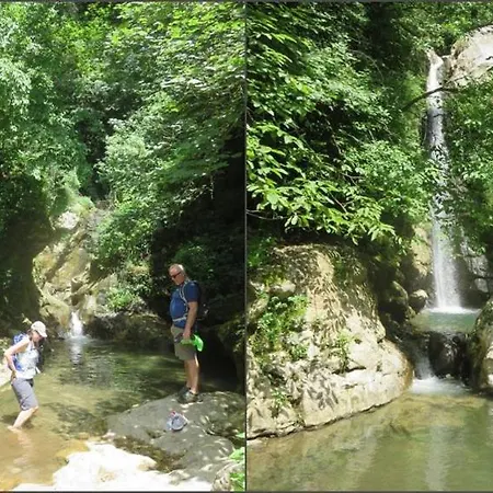 ファームステイ Orrido Di Pino アジェーロラ