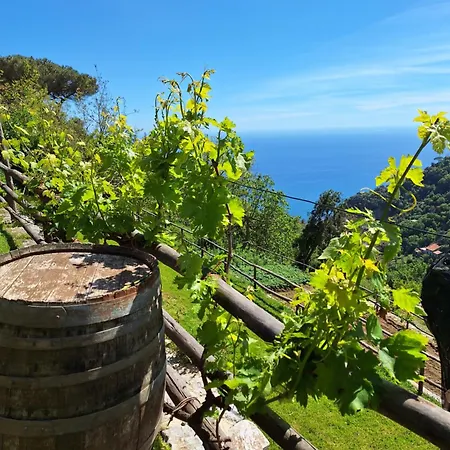 Orrido Di Pino