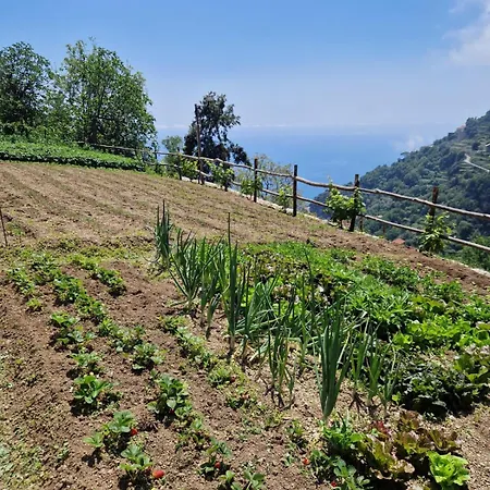 Orrido Di Pino Agerola