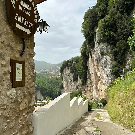 Orrido Di Pino