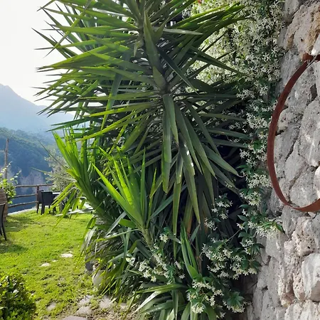 Orrido Di Pino Agerola