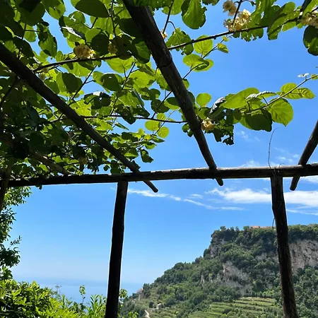 Orrido Di Pino