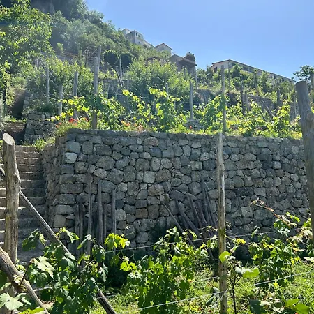 Orrido Di Pino Farm stay *