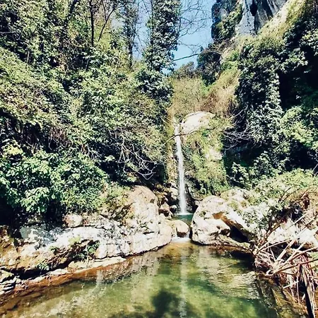 ファームステイ Orrido Di Pino アジェーロラ