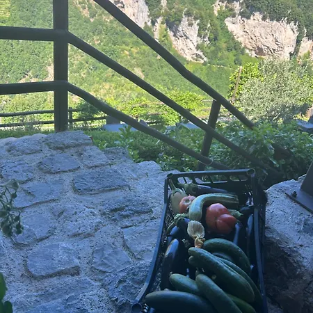 Orrido Di Pino *